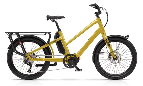 Benno BOOST 10D EVO5 Easy On Performance CX Lastenrad